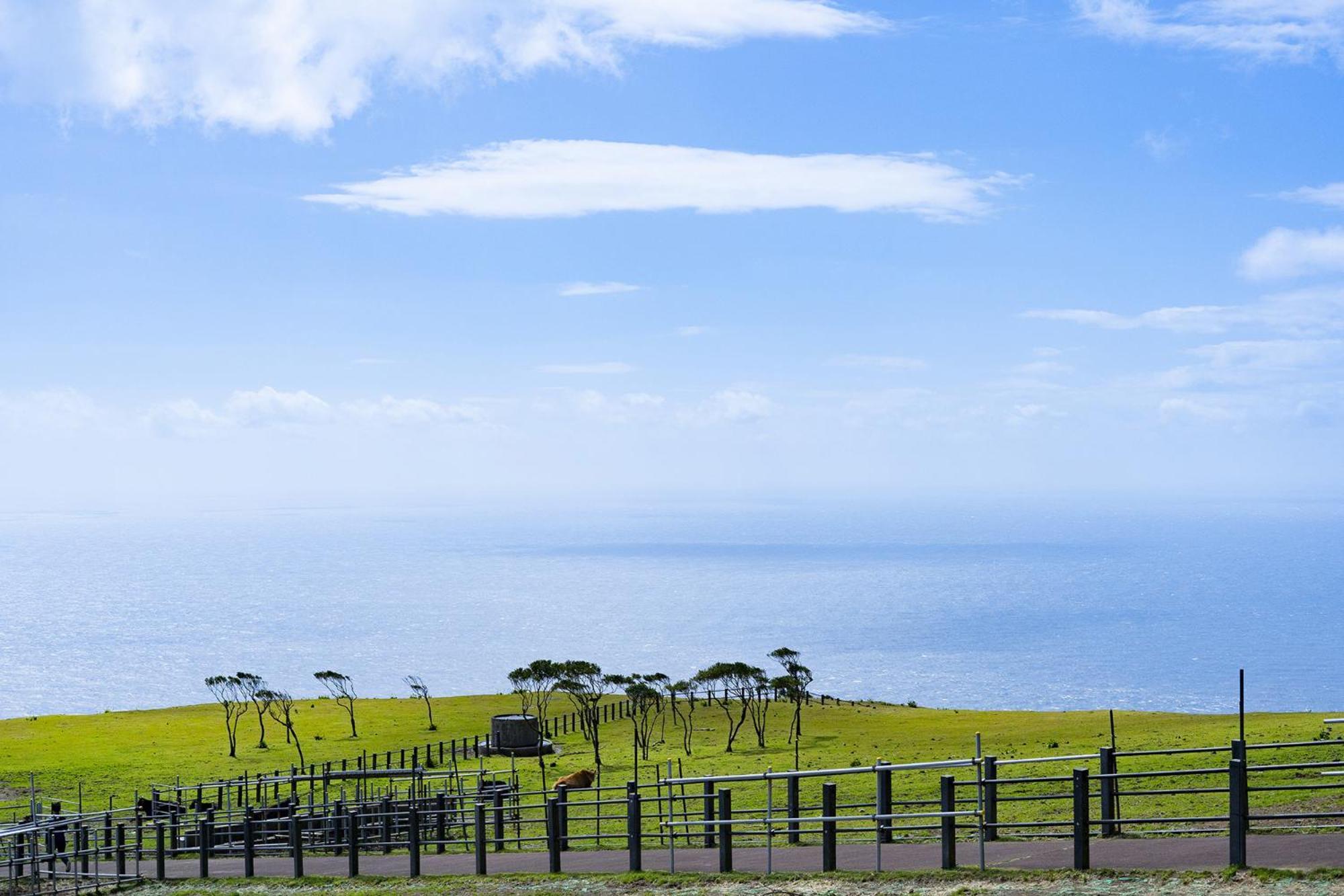 Hachijyo-Island Blue Eight -八丈島ブルーエイト- Mitsune Exterior foto
